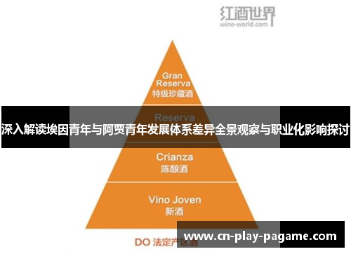 深入解读埃因青年与阿贾青年发展体系差异全景观察与职业化影响探讨 深入解读埃因青年与阿贾青年发展体系差异全景观察与职业化影响探讨