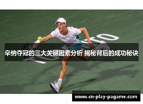 辛纳夺冠的三大关键因素分析 揭秘背后的成功秘诀