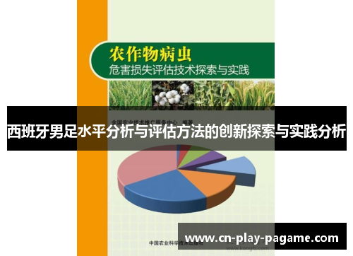 西班牙男足水平分析与评估方法的创新探索与实践分析