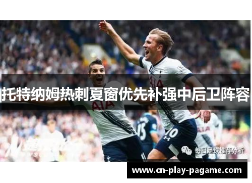 托特纳姆热刺夏窗优先补强中后卫阵容 托特纳姆热刺夏窗优先补强中后卫阵容