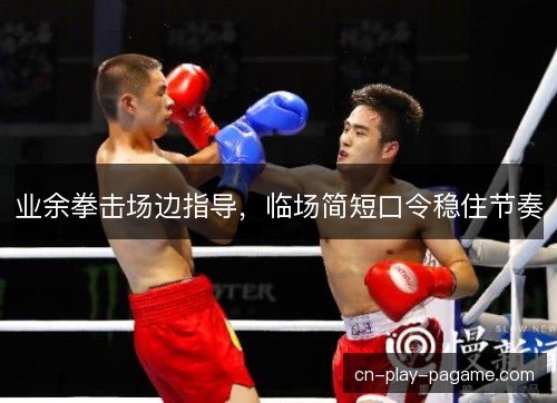 业余拳击场边指导，临场简短口令稳住节奏